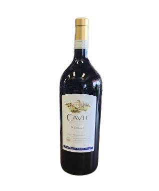 20250816_122239-removebg-preview_-4