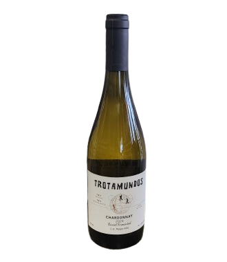 20250830_135431-removebg-preview